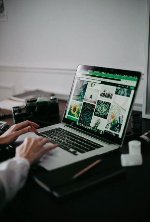 Desarrollo Frontend